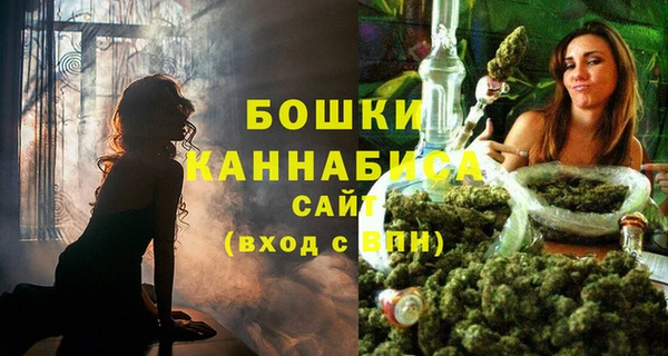 бошки Нея