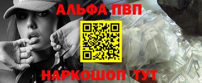 стафф Кингисепп