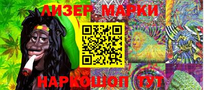 стафф Кингисепп
