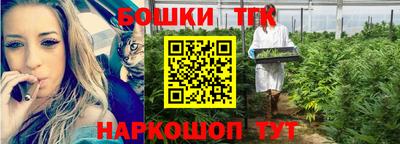 стафф Кингисепп