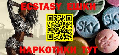 стафф Кингисепп