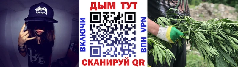 Бошки Шишки марихуана  Новокубанск 